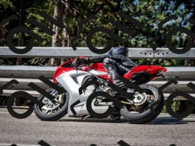 202508031031-DSC_2723_c2