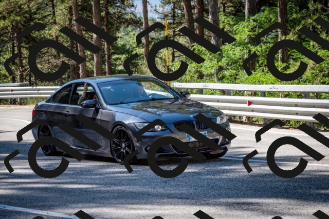 202508031031-DSC_2725-2_c2