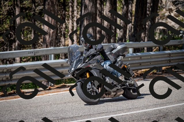 202508031031-DSC_2730_c2