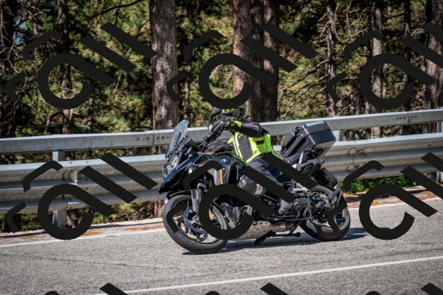 202508031032-DSC_2733-2_c2