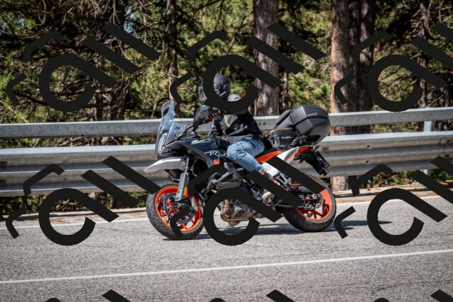 202508031032-DSC_2736_c2