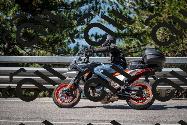 202508031032-DSC_2738_c2