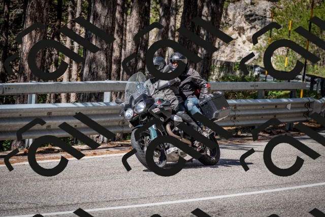 202508031032-DSC_2739-2_c2