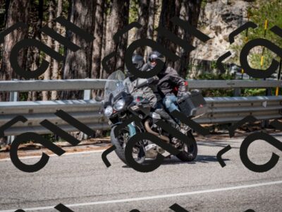 202508031032-DSC_2739-2_c2