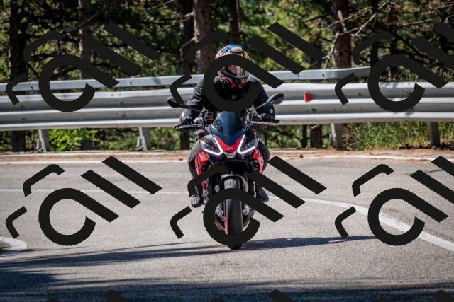 202508031033-DSC_2742-2_c2