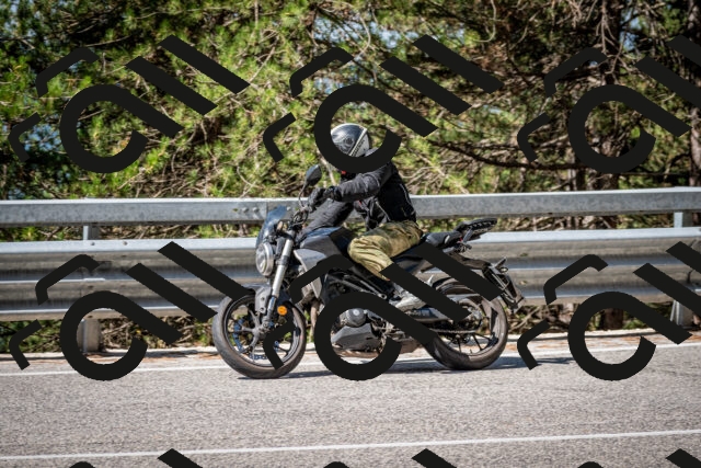 202508031034-DSC_2747_c2