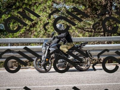 202508031034-DSC_2747_c2