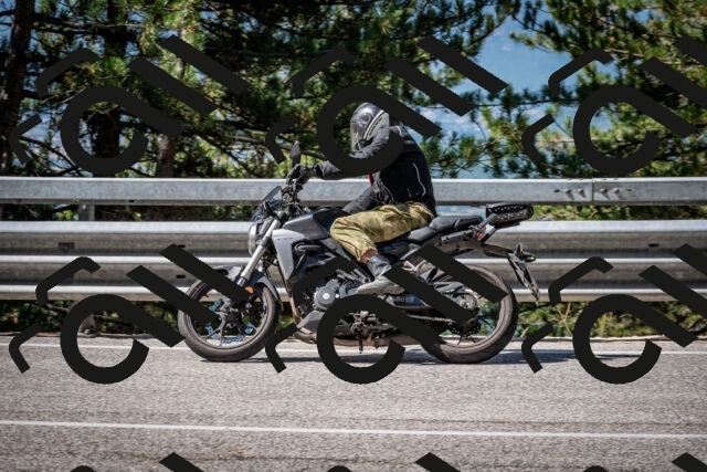 202508031034-DSC_2748_c2