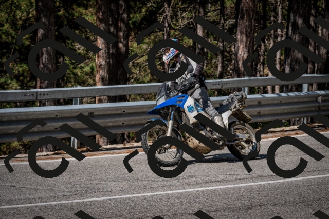 202508031034-DSC_2749_c2