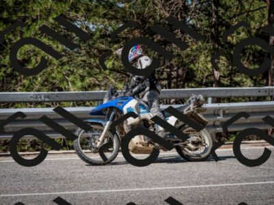 202508031034-DSC_2750_c2