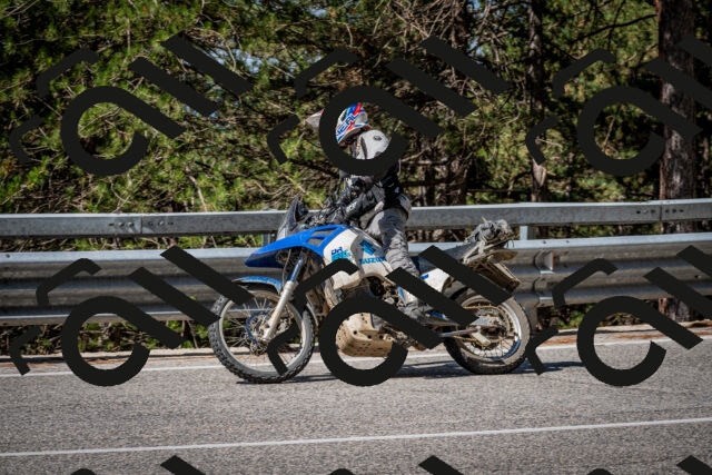 202508031034-DSC_2750_c2