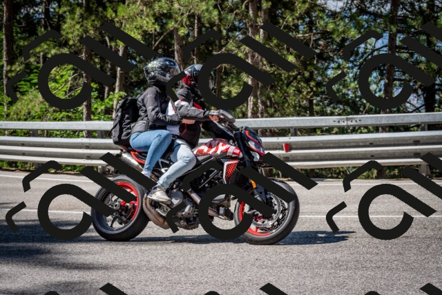 202508031034-DSC_2751_c2