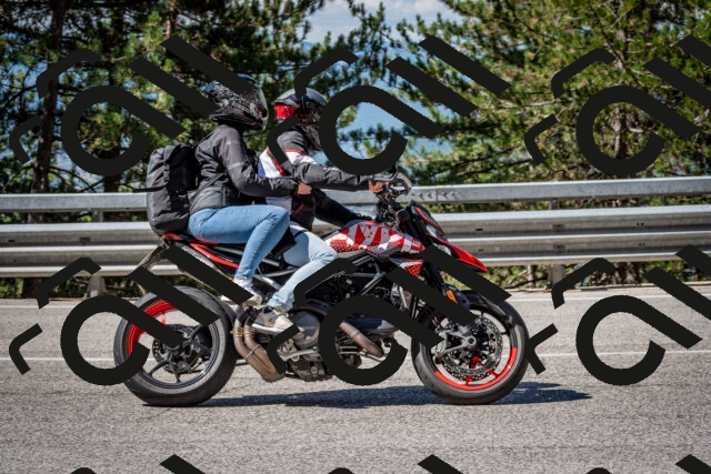 202508031034-DSC_2752-2_c2