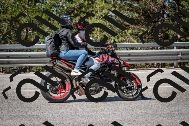 202508031034-DSC_2753_c2