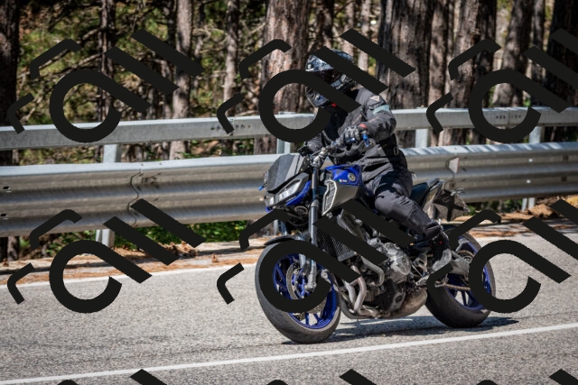 202508031035-DSC_2758_c2