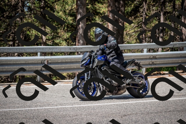 202508031035-DSC_2759_c2