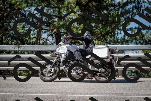 202508031035-DSC_2763_c2