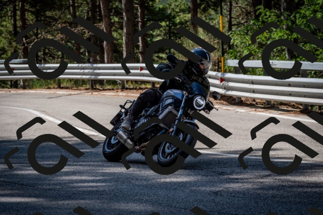 202508031035-DSC_2767_c2