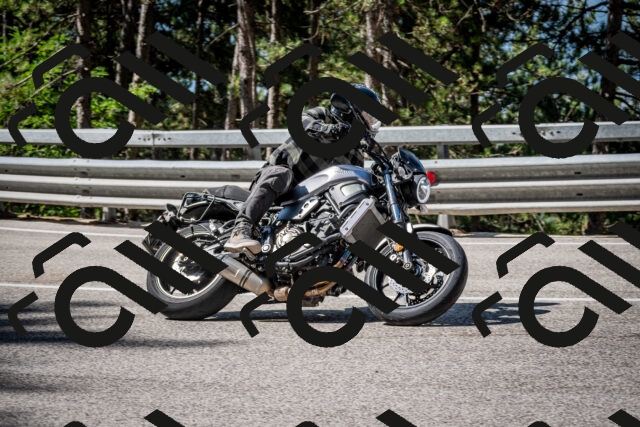 202508031035-DSC_2768_c2