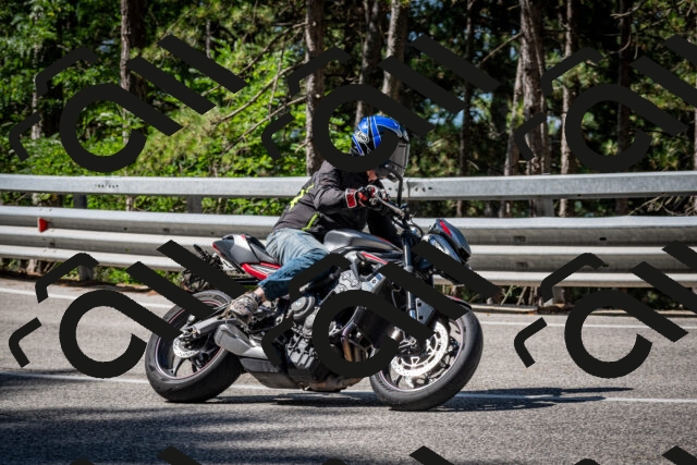 202508031035-DSC_2772_c2