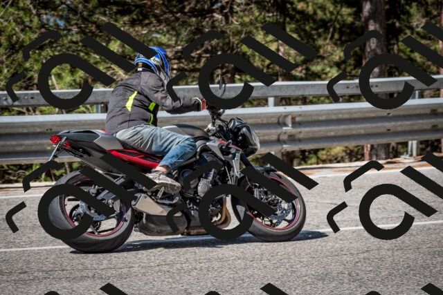 202508031035-DSC_2773_c2