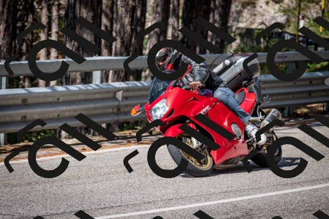 202508031037-DSC_2774_c2