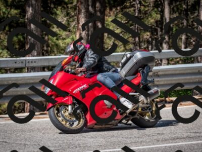 202508031037-DSC_2775_c2