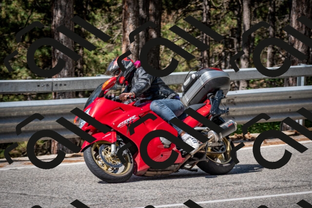 202508031037-DSC_2775_c2