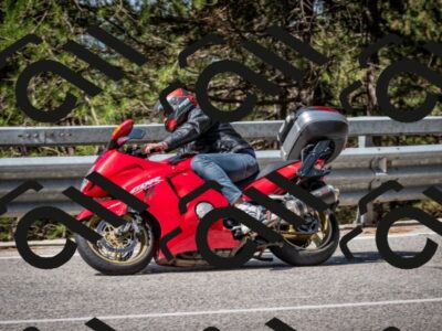 202508031037-DSC_2776_c2