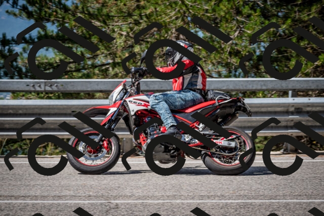 202508031037-DSC_2777_c2