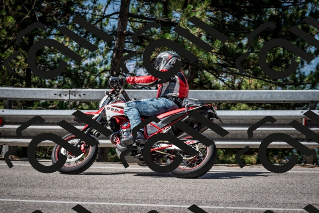 202508031037-DSC_2778_c2