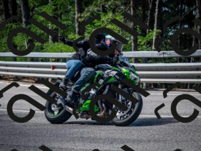 202508031039-DSC_2780-2_c2