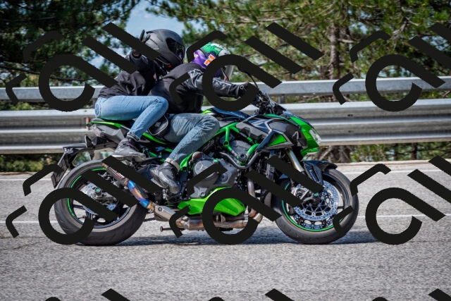 202508031039-DSC_2781-2_c2