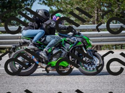 202508031039-DSC_2781-2_c2