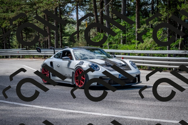 202508031039-DSC_2783_c2