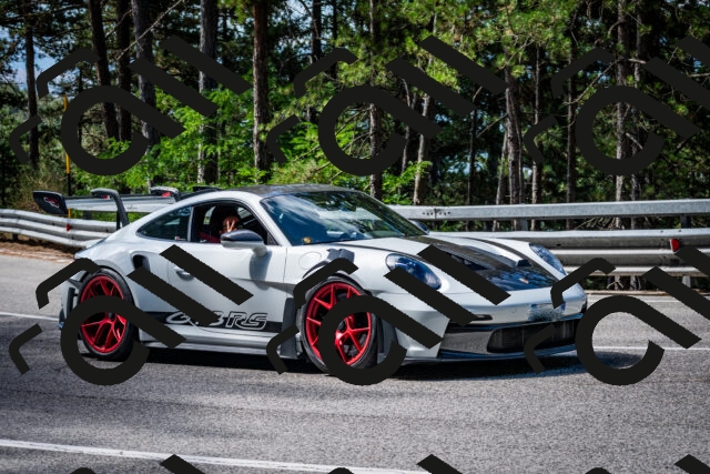 202508031039-DSC_2784_c2