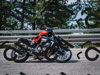 202508031040-DSC_2820_c2