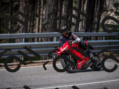 202508031041-DSC_2827-2_c2