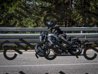 202508031044-DSC_2848_c2