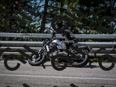 202508031044-DSC_2849_c2