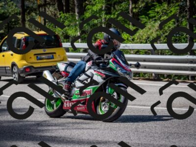 202508031046-DSC_2869_c2