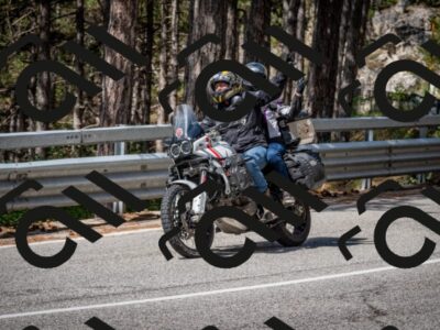 202508031048-DSC_2881_c2