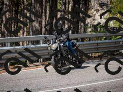 202508031050-DSC_2893_c2