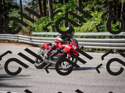 202508031052-DSC_2902-2_c2