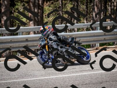 202508031053-DSC_2910_c2