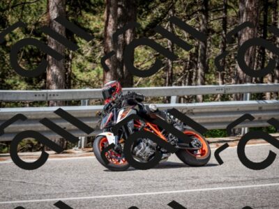 202508031053-DSC_2915_c2