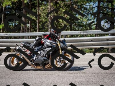 202508031053-DSC_2921_c2