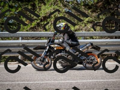 202508031053-DSC_2924_c2