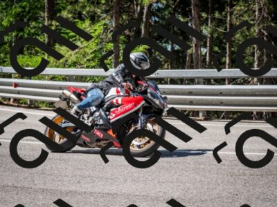 202508031056-DSC_2964_c2