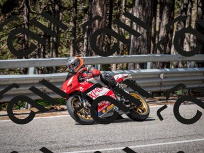 202508031058-DSC_2976_c2